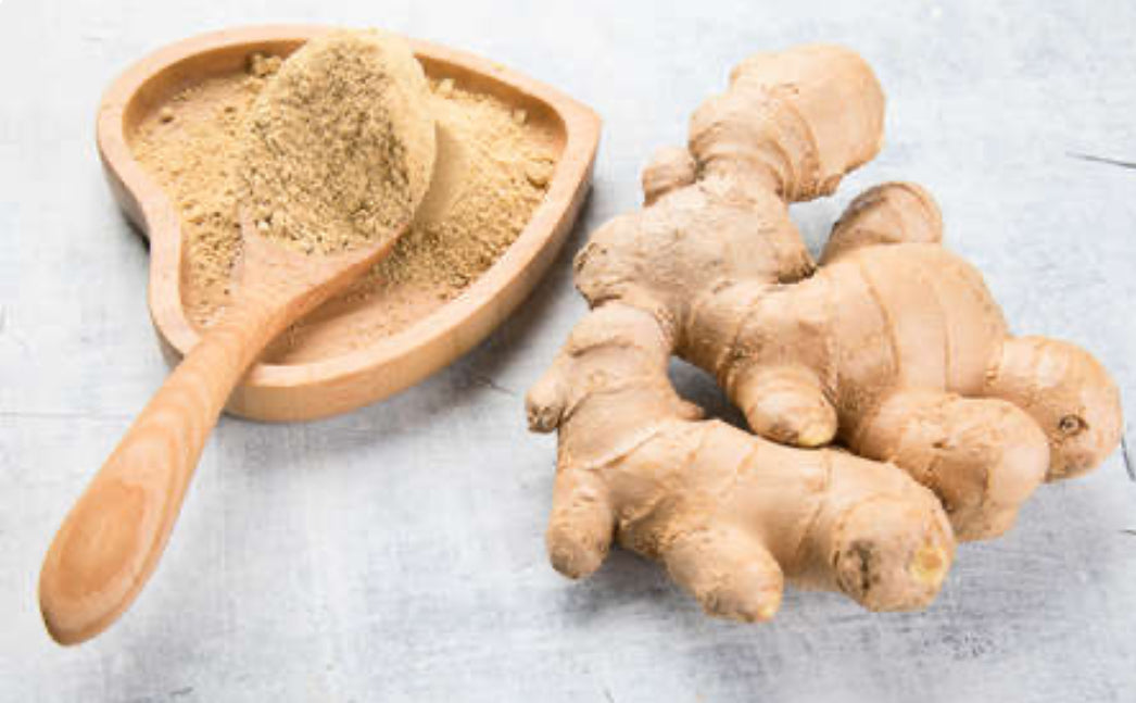Ginger
