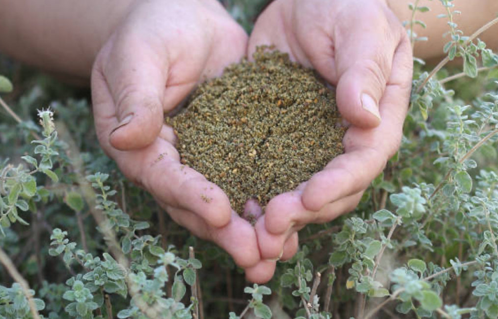 Za’atar