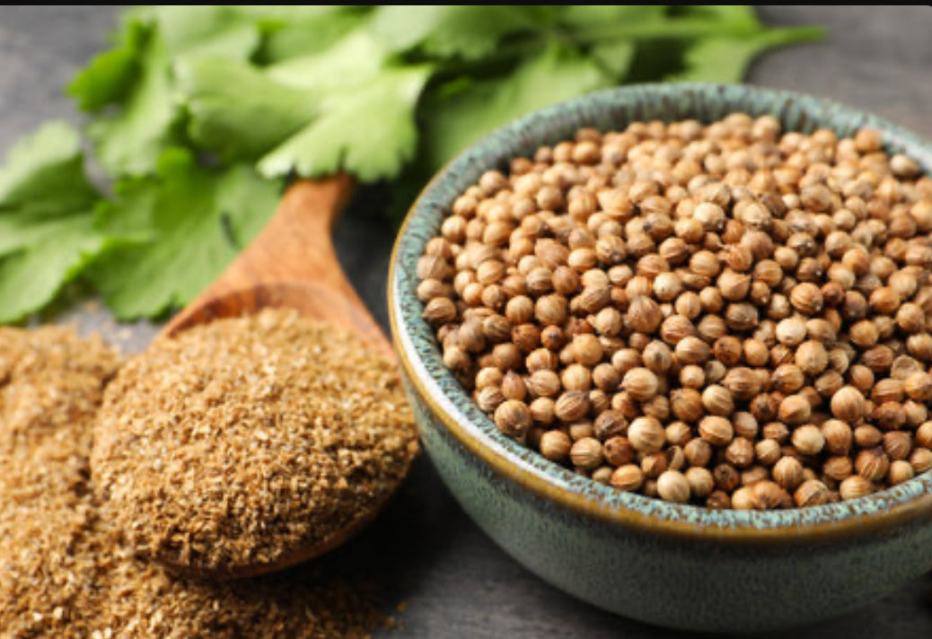 Coriander