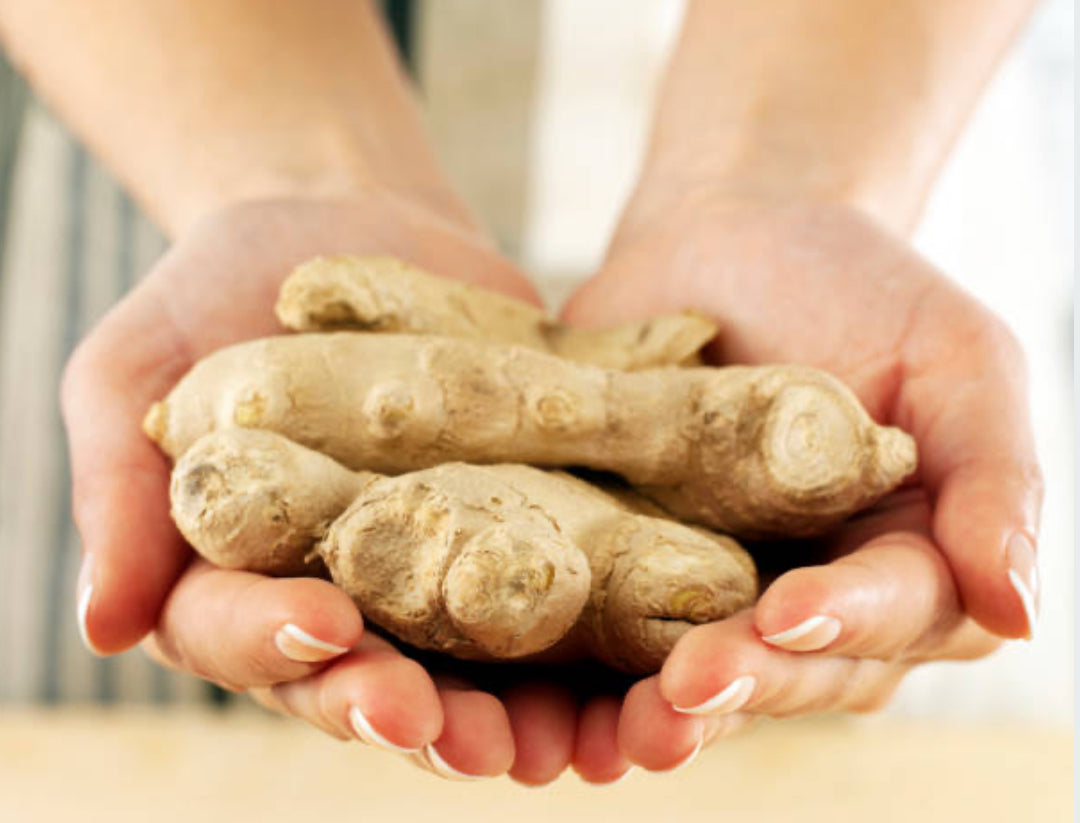 Ginger