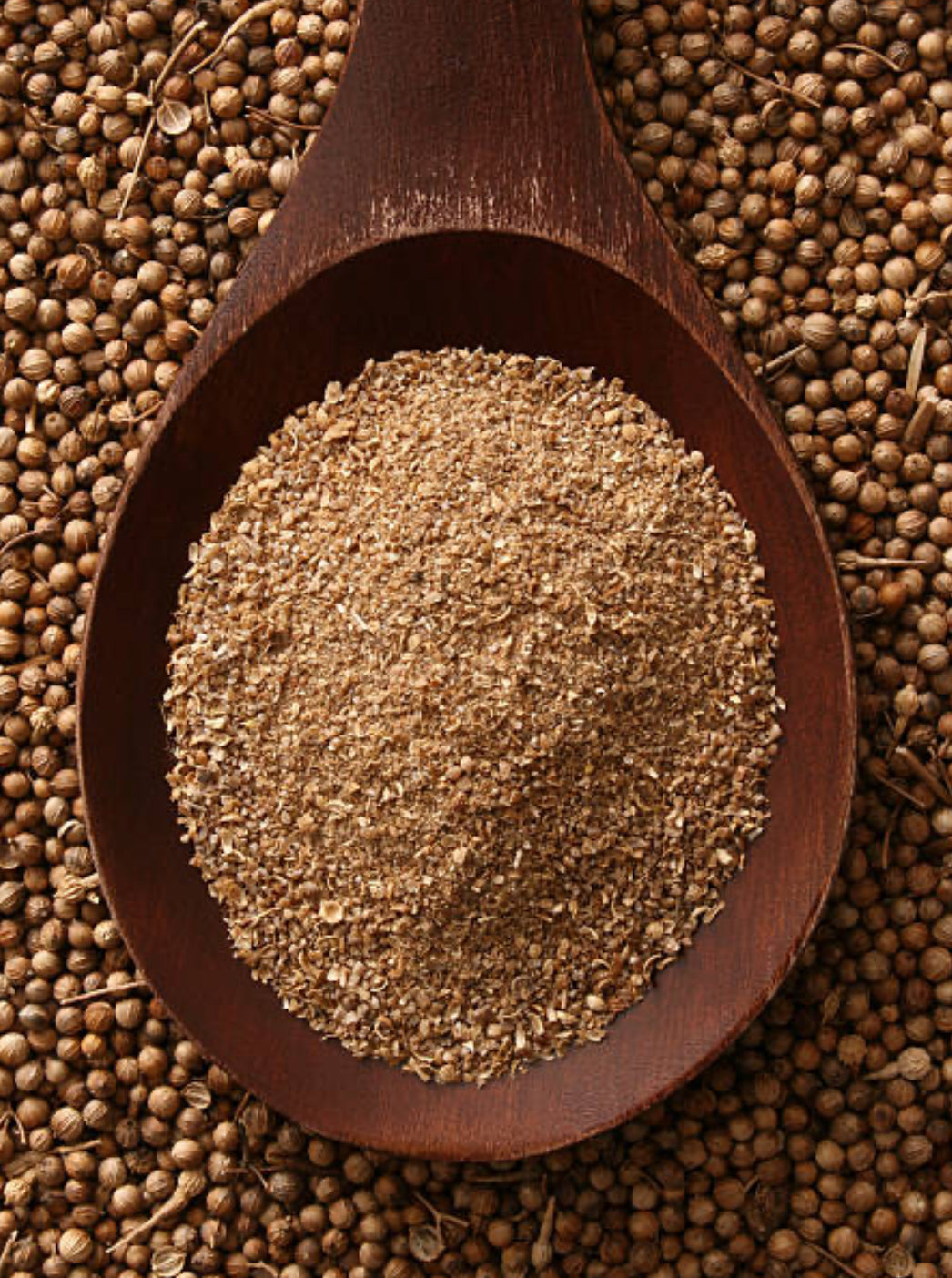 Coriander