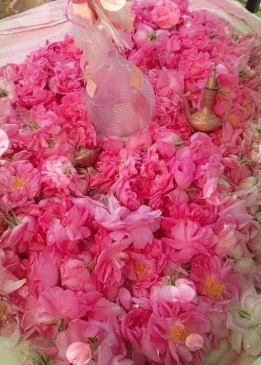 Rose Water