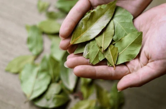 Bay Leaves